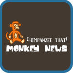 Chimpanzee That! Monkey News